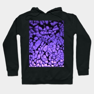 Crystal 1 Hoodie